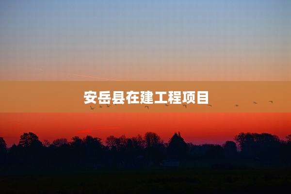 安岳县在建工程项目