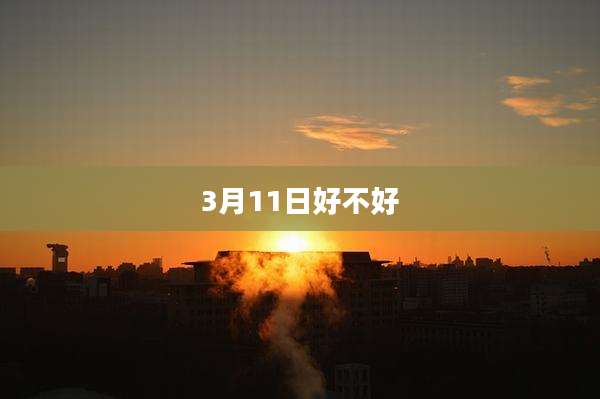 3月11日好不好