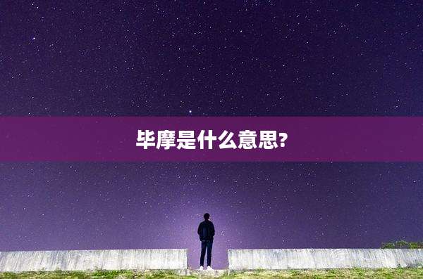 毕摩是什么意思?