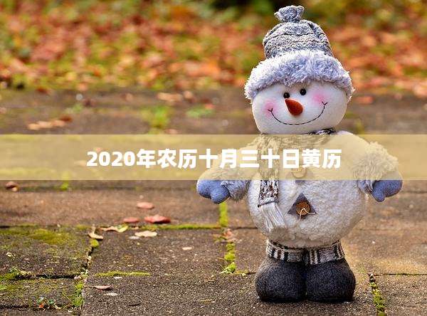 2020年农历十月三十日黄历