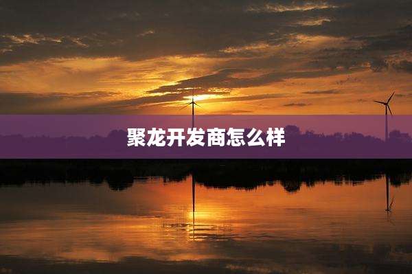 聚龙开发商怎么样