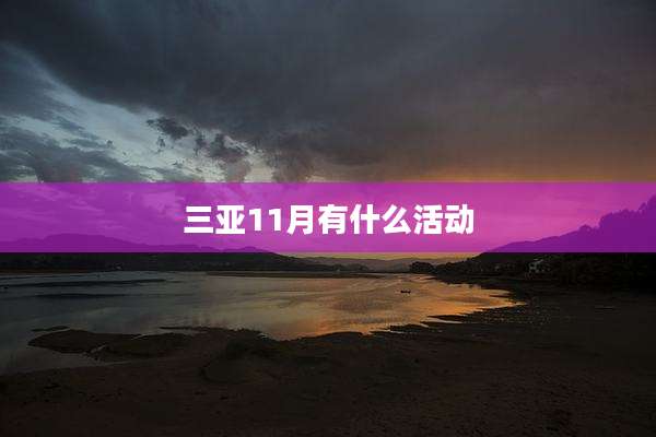 三亚11月有什么活动