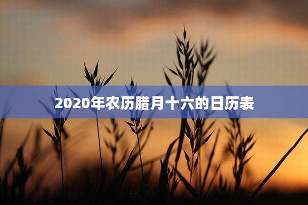 2020年农历腊月十六的日历表