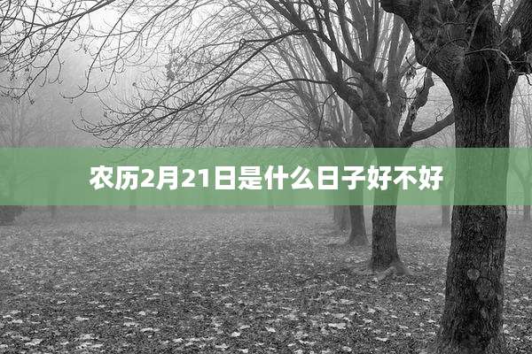 农历2月21日是什么日子好不好