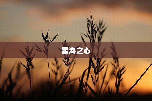 星海之心