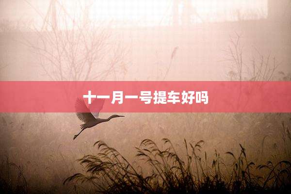 十一月一号提车好吗