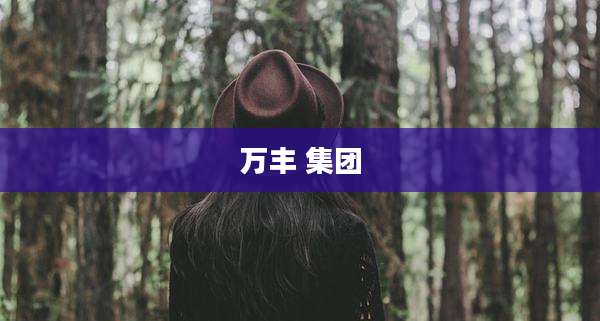 万丰 集团