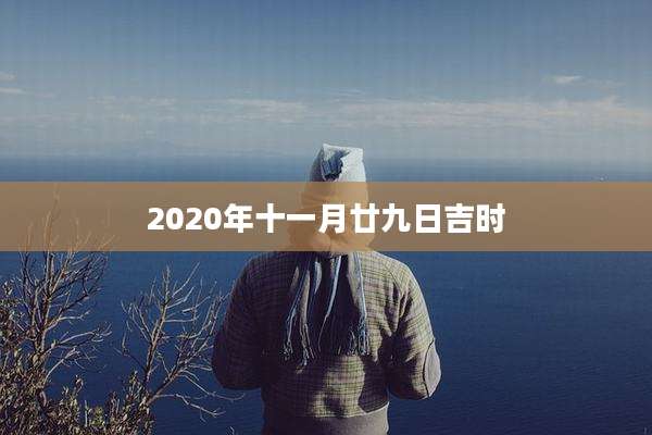 2020年十一月廿九日吉时