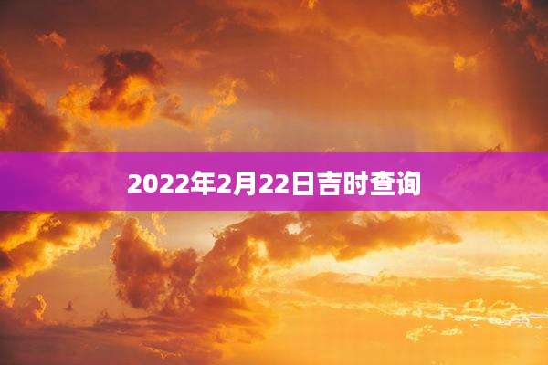 2022年2月22日吉时查询