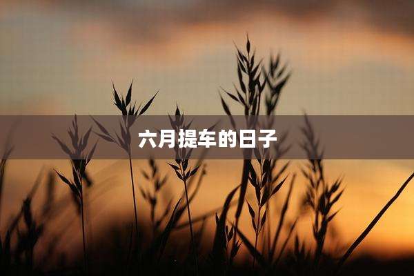 六月提车的日子