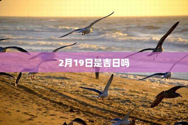 2月19日是吉日吗