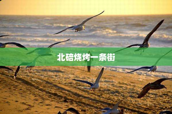 北碚烧烤一条街