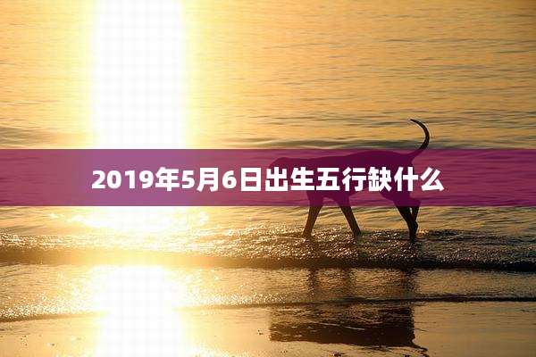 2019年5月6日出生五行缺什么