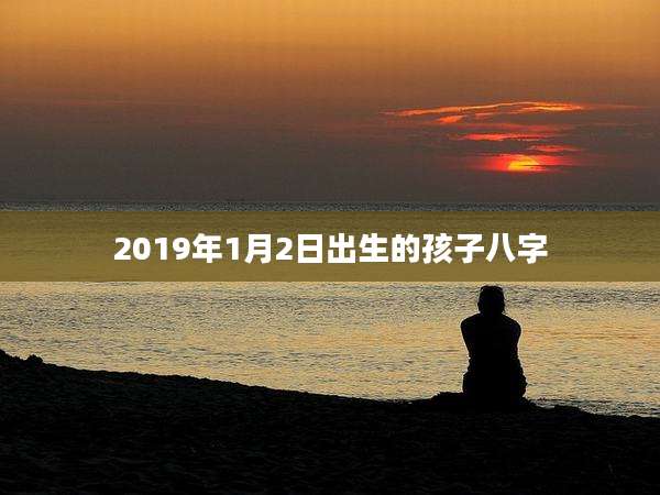 2019年1月2日出生的孩子八字