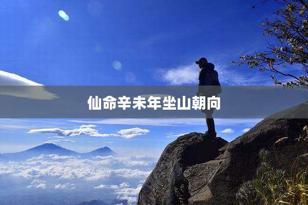 仙命辛未年坐山朝向