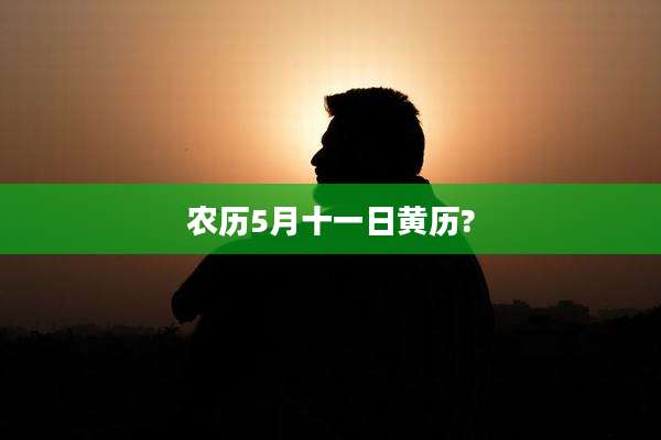 农历5月十一日黄历?