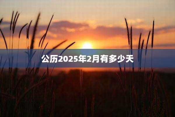公历2025年2月有多少天