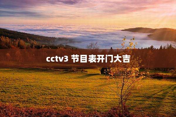 cctv3 节目表开门大吉