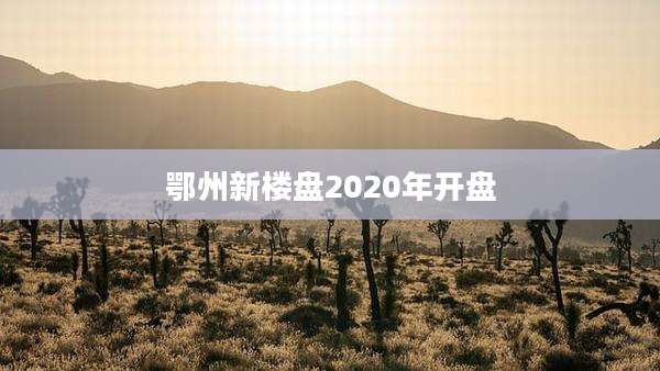 鄂州新楼盘2020年开盘