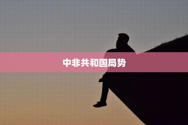 中非共和国局势