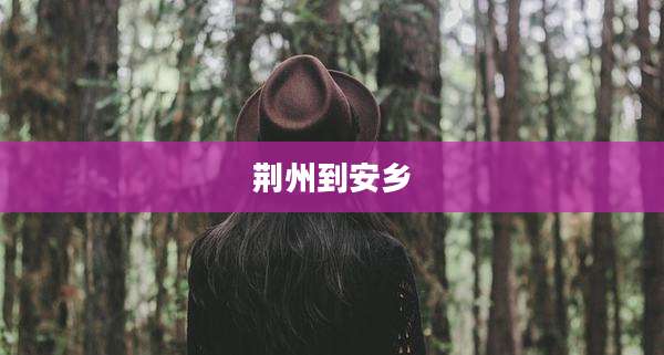 荆州到安乡