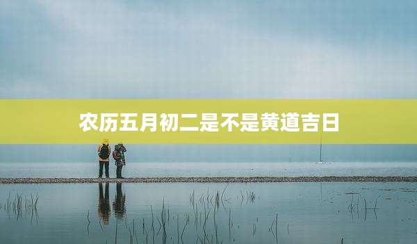 农历五月初二是不是黄道吉日