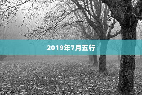 2019年7月五行