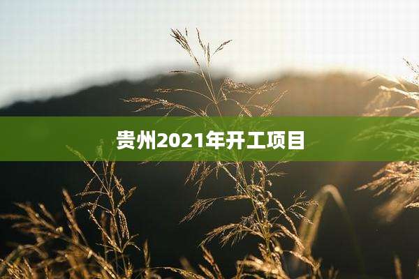 贵州2021年开工项目