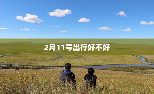 2月11号出行好不好