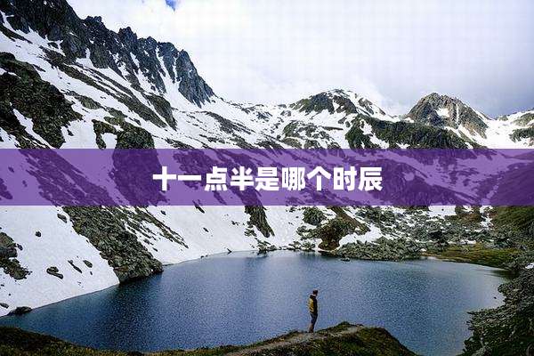 十一点半是哪个时辰