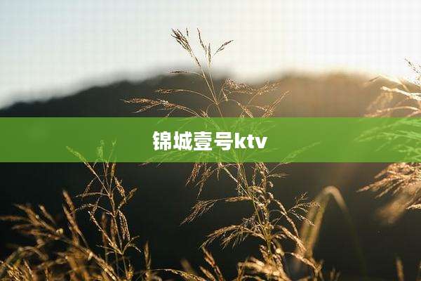 锦城壹号ktv