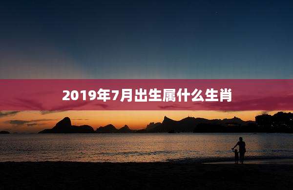 2019年7月出生属什么生肖