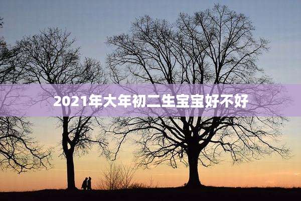 2021年大年初二生宝宝好不好