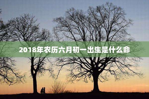 2018年农历六月初一出生是什么命