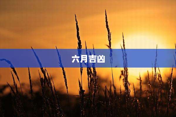 六月吉凶