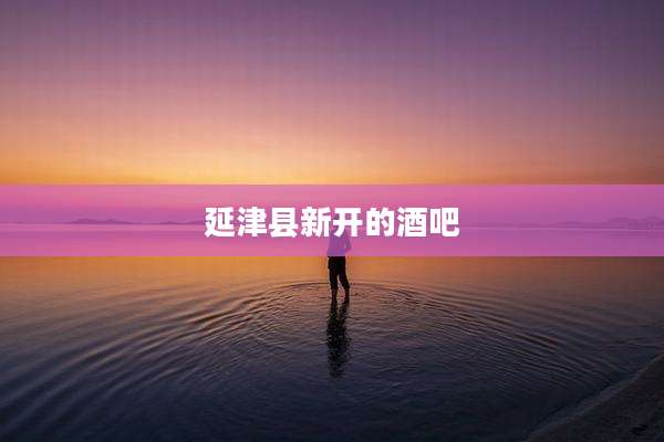 延津县新开的酒吧