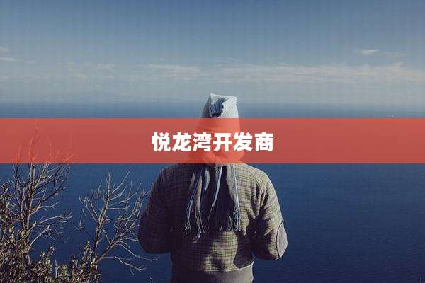 悦龙湾开发商