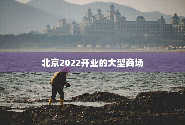 北京2022开业的大型商场