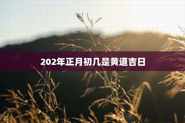 202年正月初几是黄道吉日