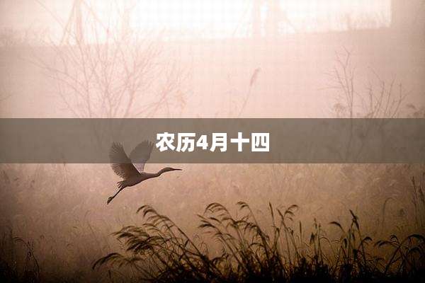农历4月十四