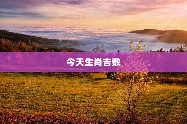 今天生肖吉数