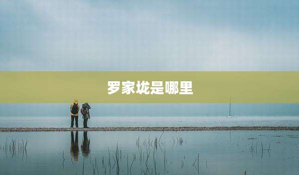 罗家垅是哪里