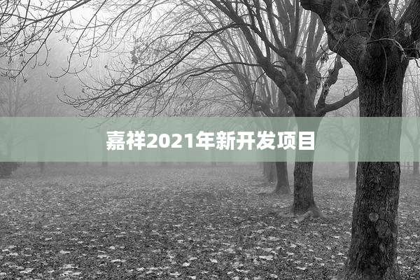 嘉祥2021年新开发项目