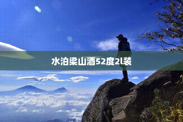 水泊梁山酒52度2l装