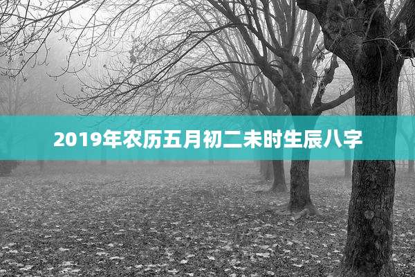 2019年农历五月初二未时生辰八字