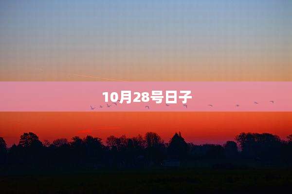 10月28号日子