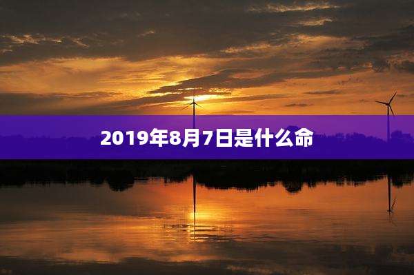 2019年8月7日是什么命