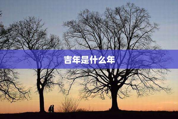 吉年是什么年