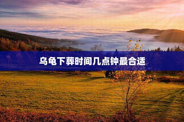 乌龟下葬时间几点钟最合适