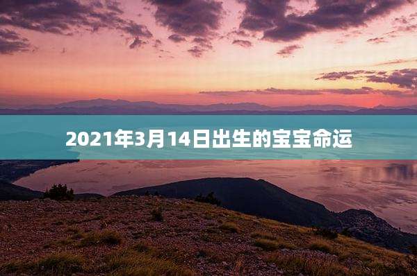 2021年3月14日出生的宝宝命运